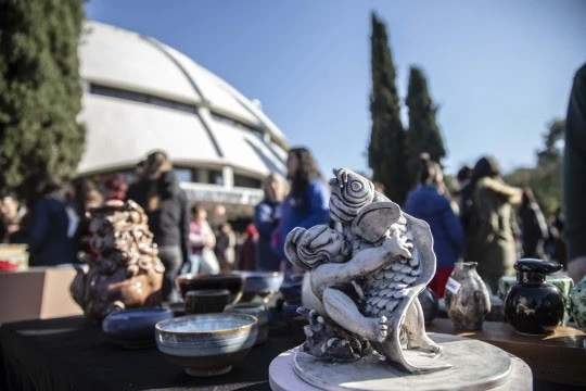 El Gran Plan: los espacios rosarinos colmados de chicos